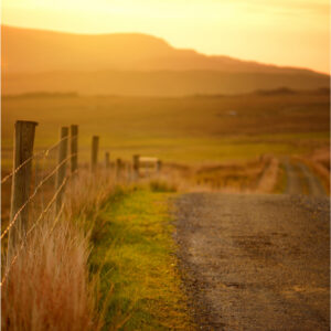 pexels-photo-461755 3